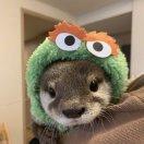 GHua_Lee的个人资料头像