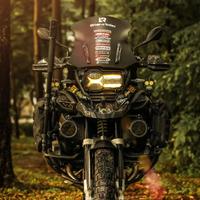 低调浩然哥头像