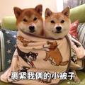一天天突破头像