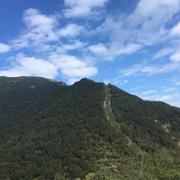 明天的今天的个人资料头像