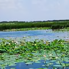 大漠烟雨L头像