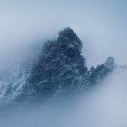 basetree的个人资料头像