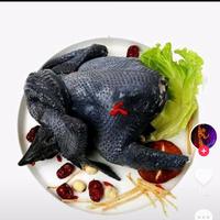 打击黑粉5l1i头像