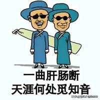 青鸟留音头像