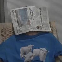 星星流浪所头像