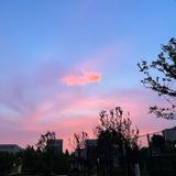 非凡辰星2e0头像