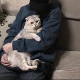 烂情456头像