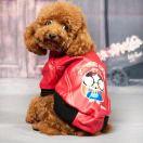 老魔不想说话的个人资料头像