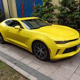 AMG贸易行头像