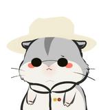 杰克船长大仓鼠头像