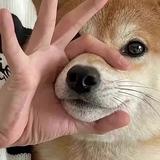 三叔公824头像