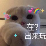 木安南z头像