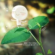 何成的个人资料头像