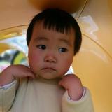 继续流浪2009头像