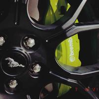 emira忠实粉丝头像