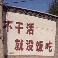 张龙瑀头像