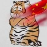 癞疙宝不癞头像