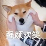 抱住大大大大腿头像