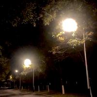 强迫症存在头像