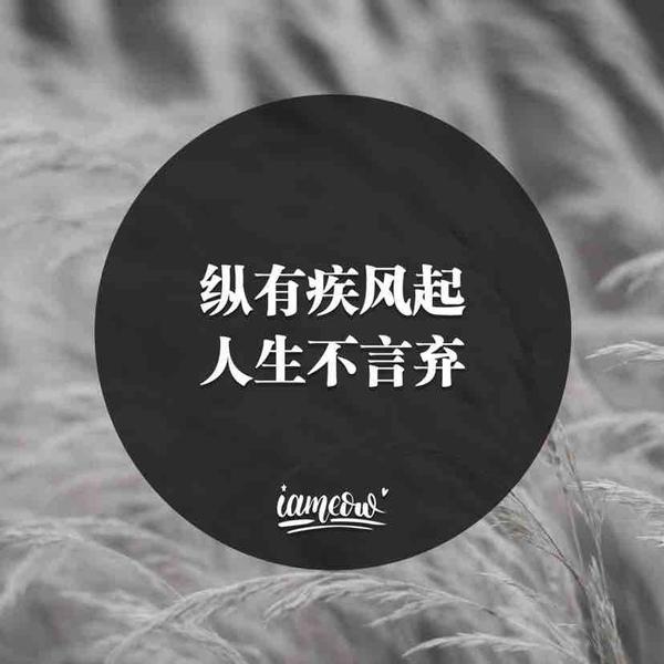 海派吧头像