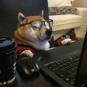 大秦886的个人资料头像