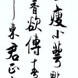 傲竹居士头像