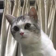 kylinlin27841的个人资料头像