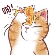 popo的个人资料头像