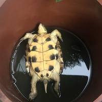 佛山人生满希望头像