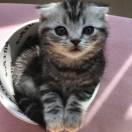 freedom不想说话68492的个人资料头像