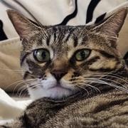 Flicker的个人资料头像