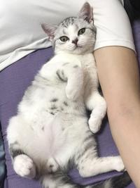 沐沐打游戏头像