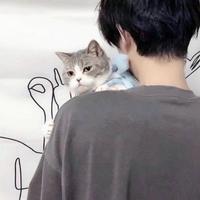 总是想静静丶头像
