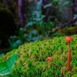 用户1696399644461头像