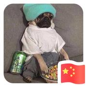 用户5701819570893的个人资料头像