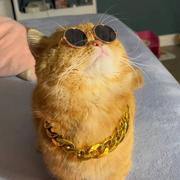 黄粱一梦498的个人资料头像