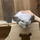 让我来看看沙雕视频头像