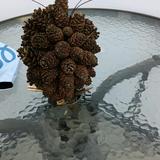 用户2040975537012头像