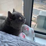 用户942529410745头像