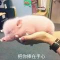 我狠凶头像