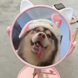 丶就是想咲头像