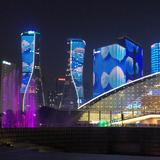 天天向上55810头像