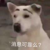 起呢汤米粉头像
