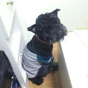 bpldbt的个人资料头像