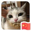 菜嘘詼的个人资料头像