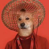 ᯅ对方已拒绝30头像