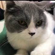 bilydai的个人资料头像