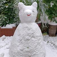 谁是谁的谁💃头像