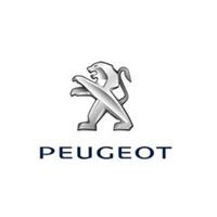 Peugeot408owner头像
