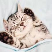 你说谁是小个子的个人资料头像